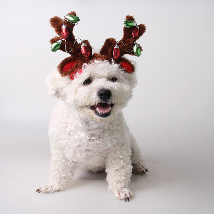 Pet Christmas Hat