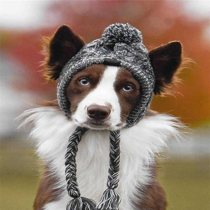 Dog Woolen Hat