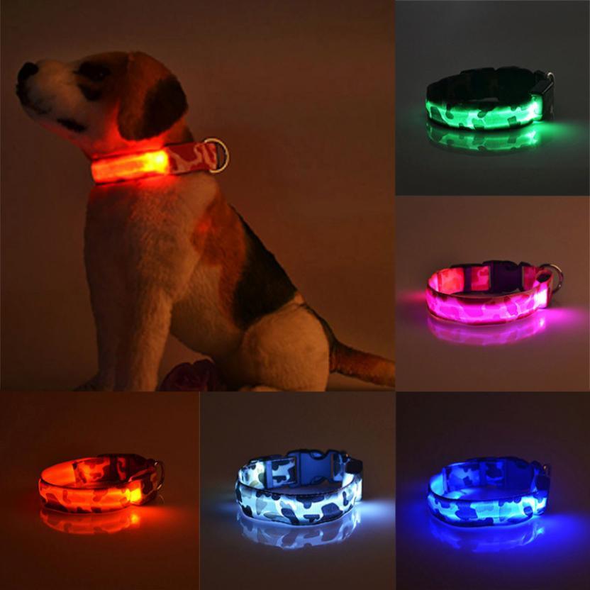 Dog Luminous Collar