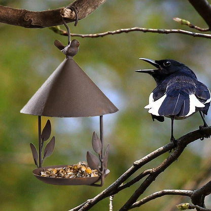 Iron Bird Feeder