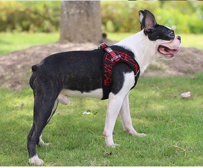 Dog Chest Harness