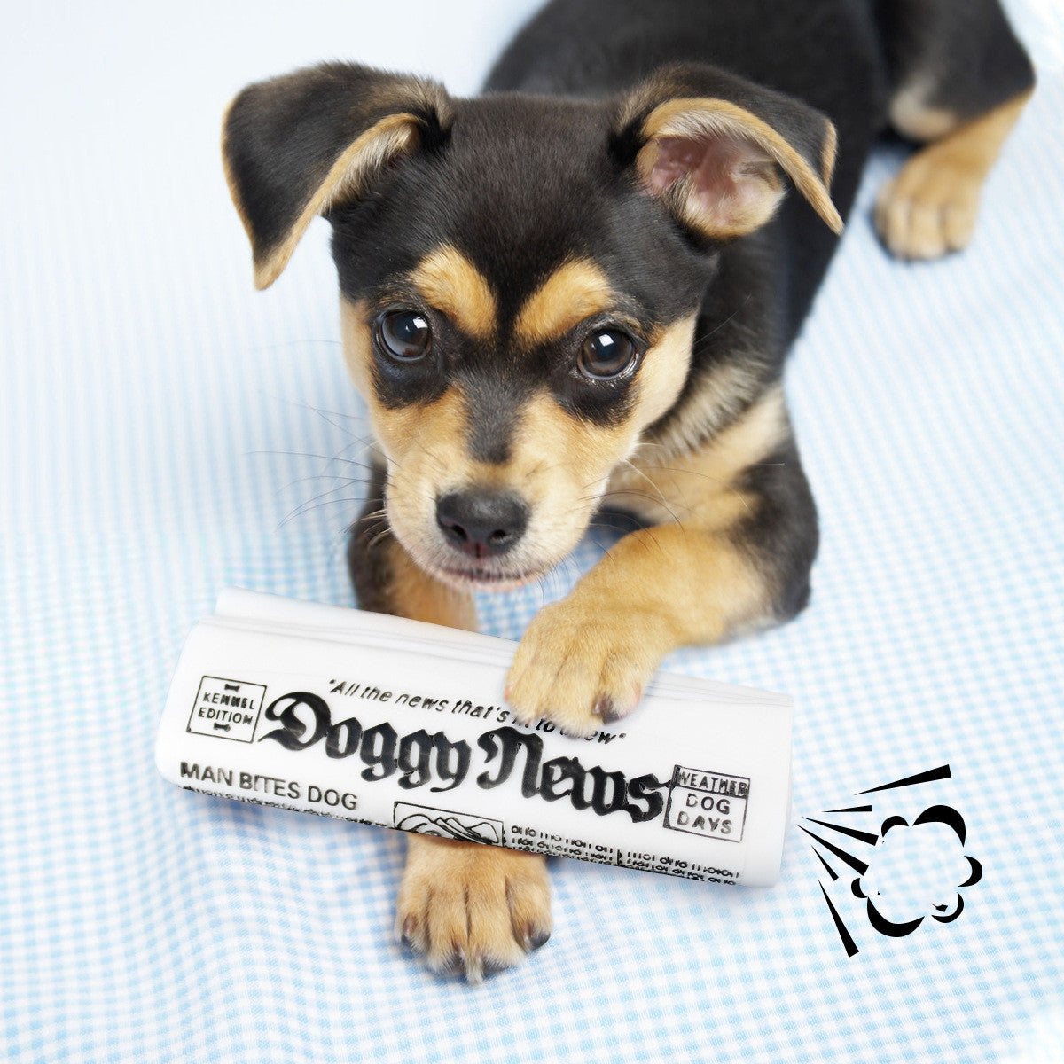 Dog Newspaper Toy