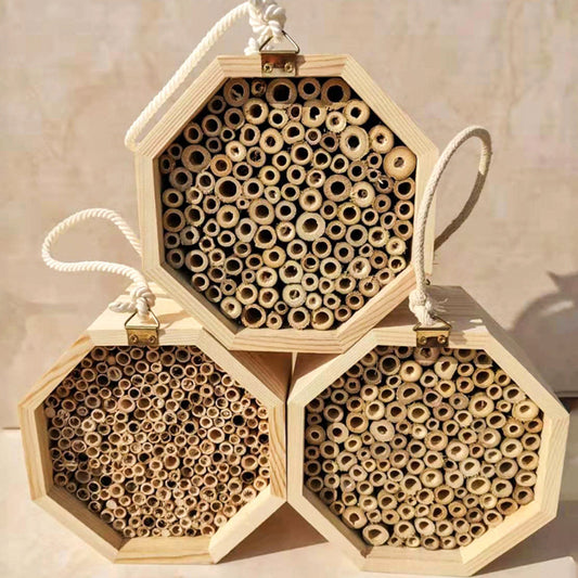 Wooden Bee Breeding Box 