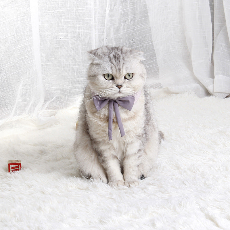 Cat Bow Tie