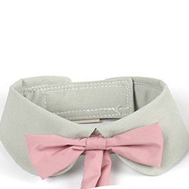 Cat Bow Tie