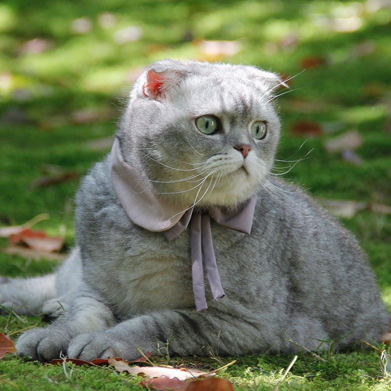 Cat Bow Tie