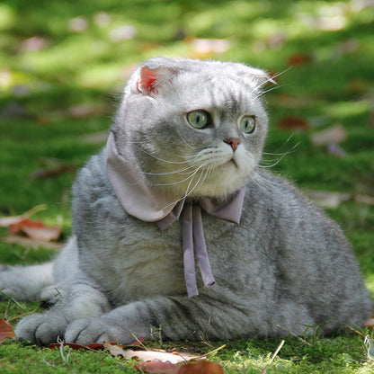 Cat Bow Tie