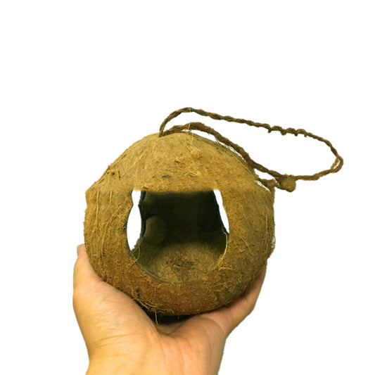 Coconut Shell Bird Feeder