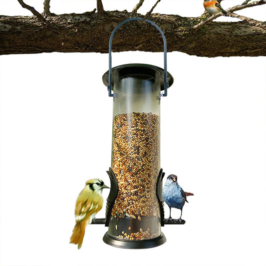 Pet Bird Feeding Station