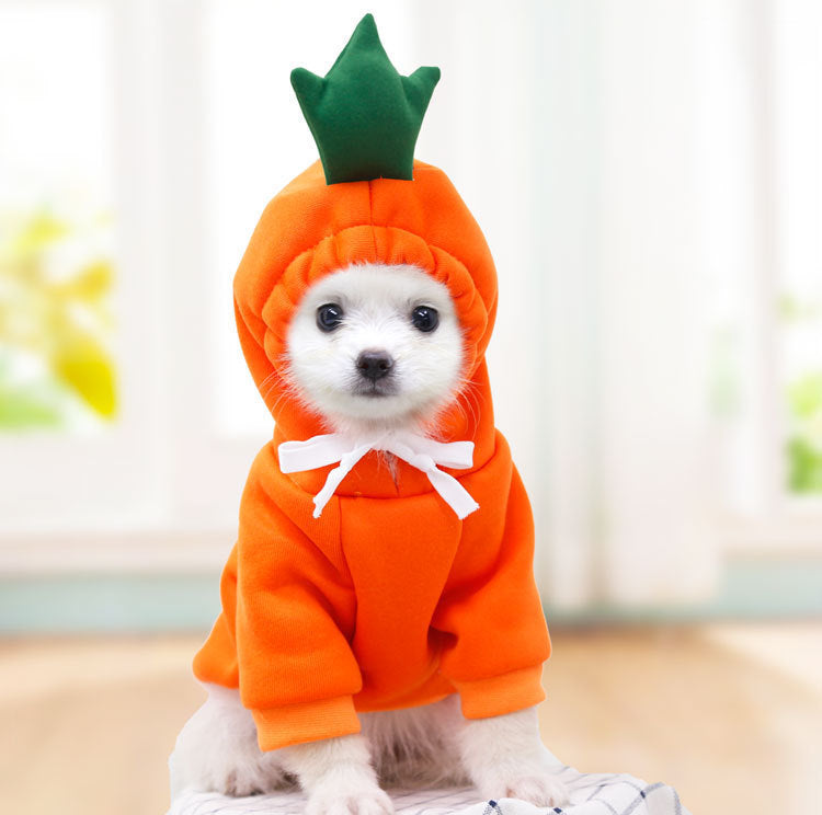 Dog Autumn And Winter Clothing