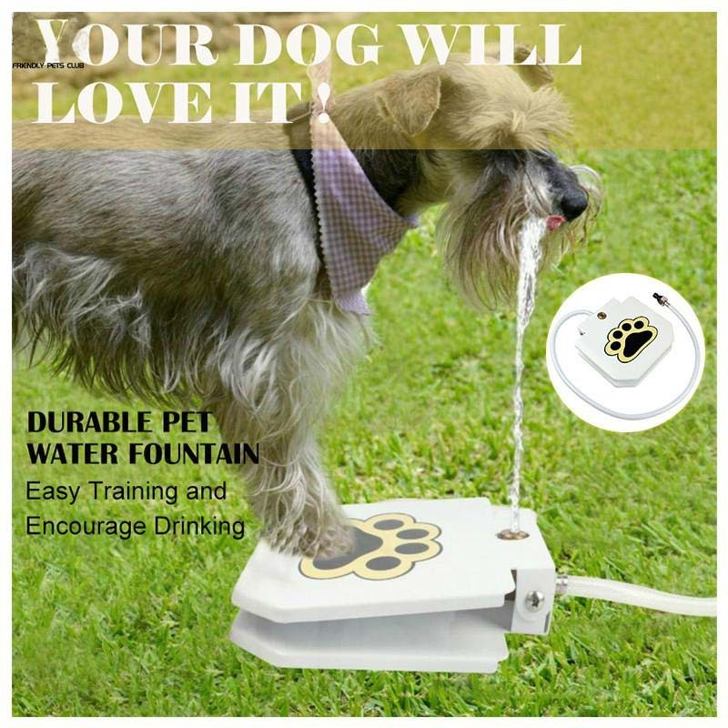 Pet Automatic Water Dispenser