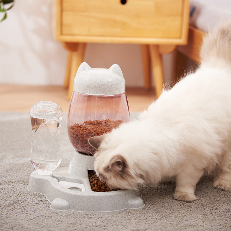 Pet Two-in-one Automatic Feeder