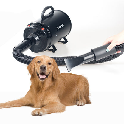 Pet Blow Dryer