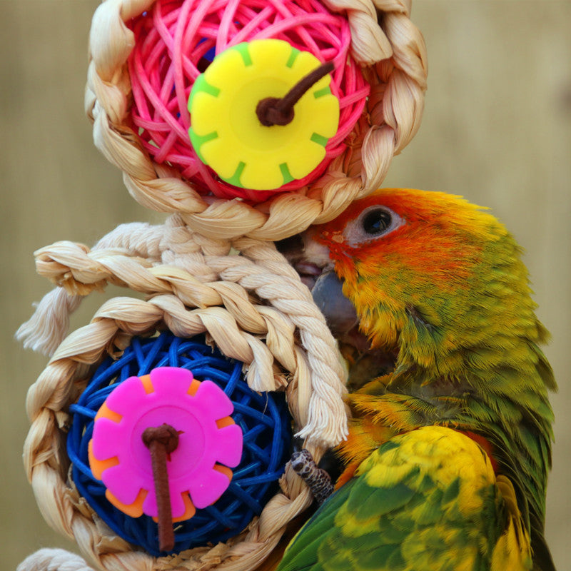 Pet Bird Vine Ball Twist String