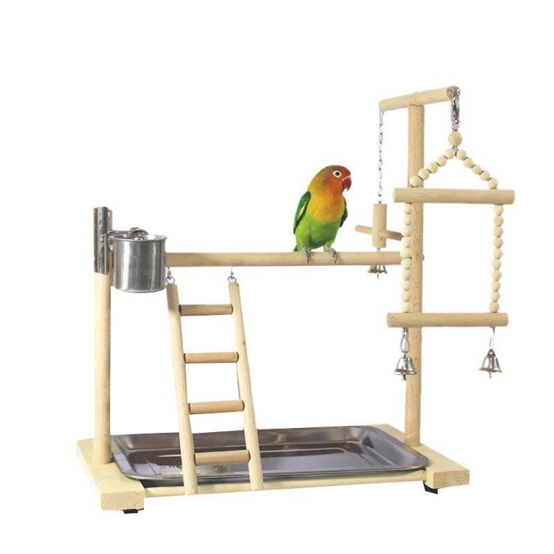 Bird Standing Frame