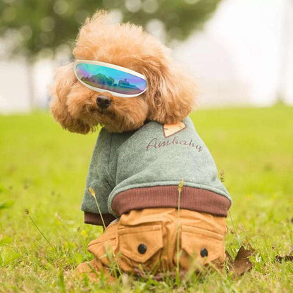 Dog UV Goggles