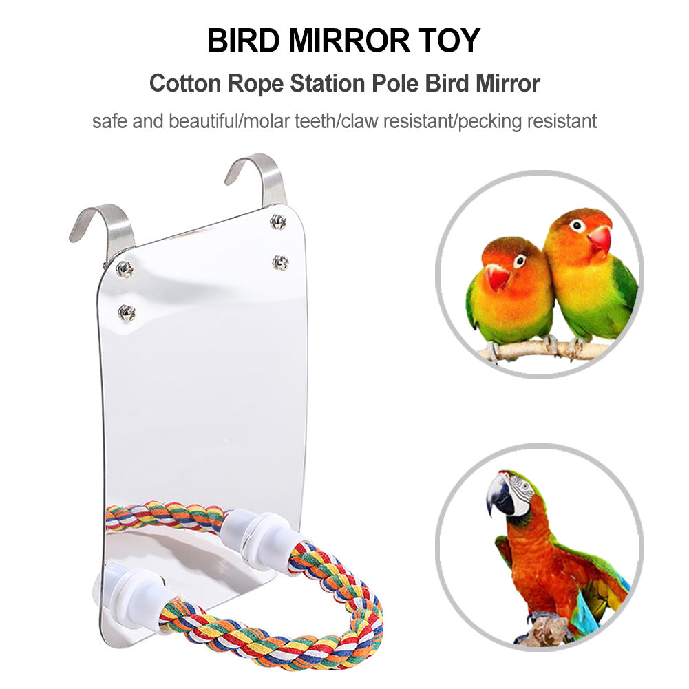  Bird Mirror