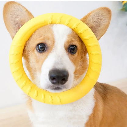 Dog Chewing Ring