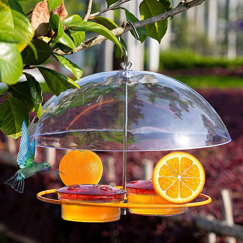 Outdoor Hanging Bird Feeder