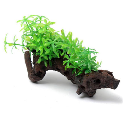 Aquarium Wood Plant