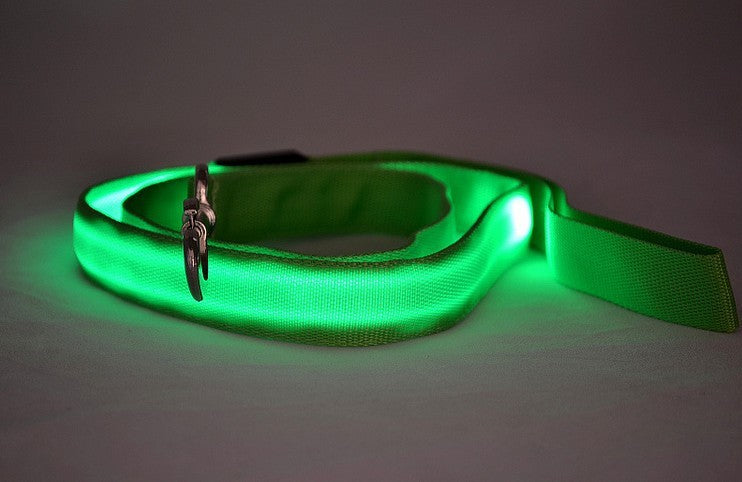 LED Luminous Dog Leash