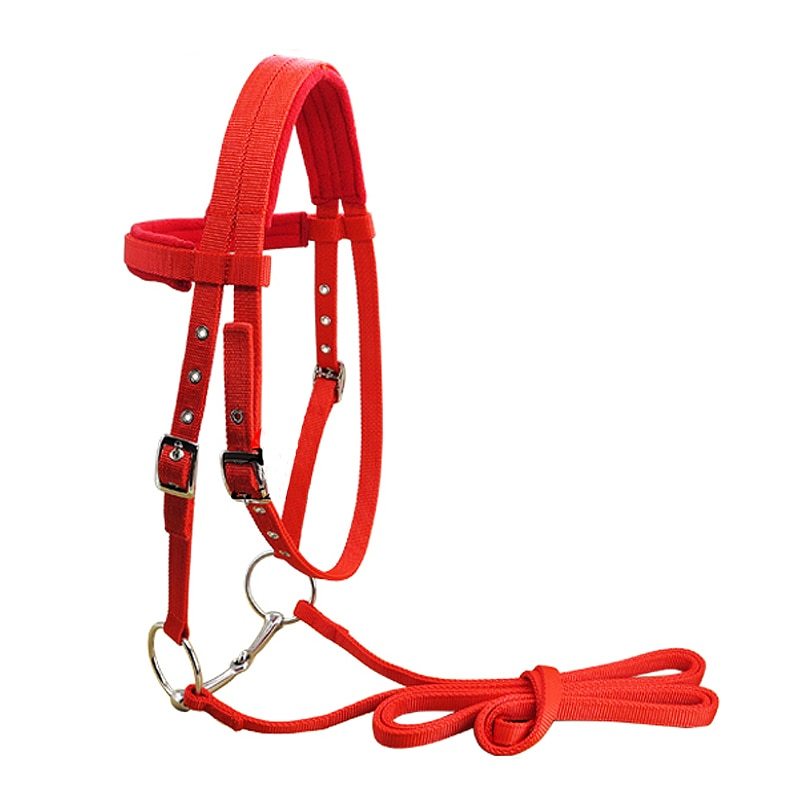 Reins Horse Bridle