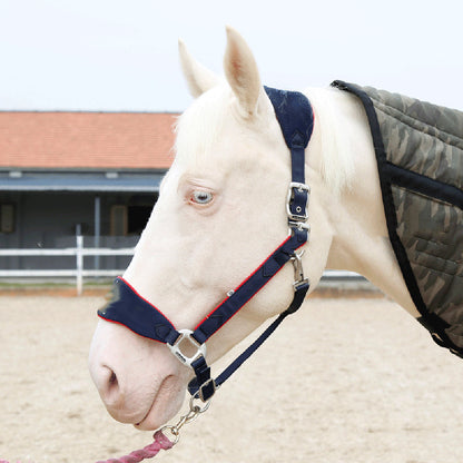 Horse Halter