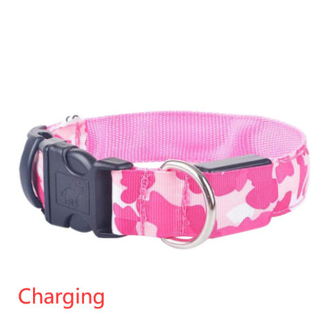 Dog Luminous Collar