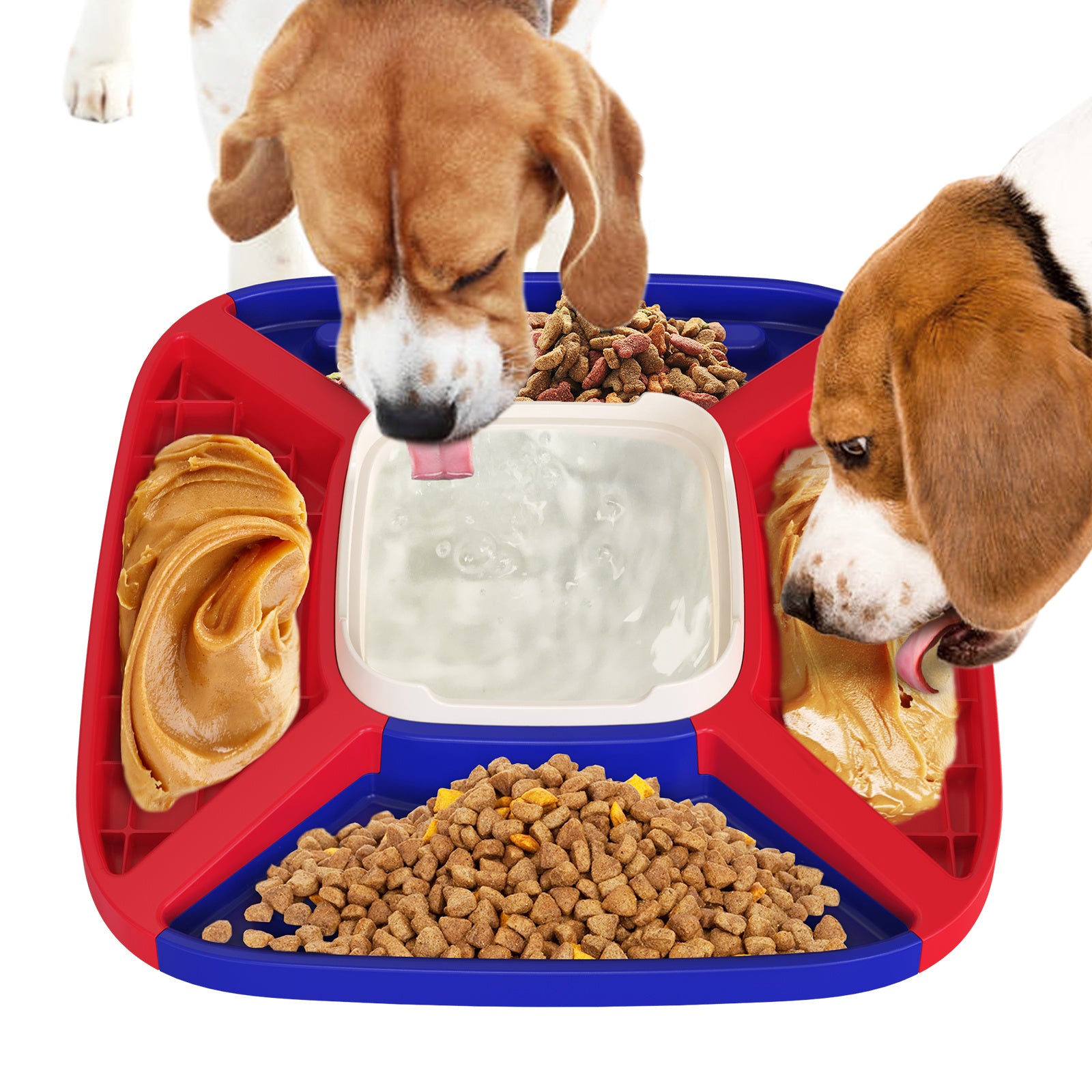 Dog Food Plate