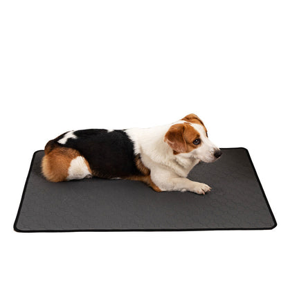 Pet Water Absorption Mat