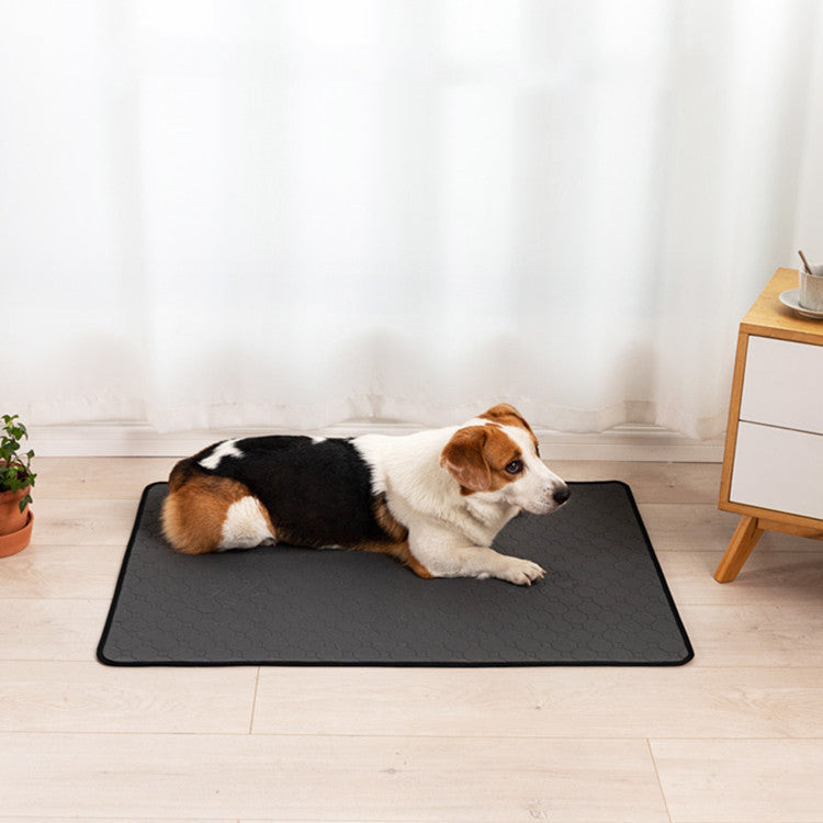 Pet Water Absorption Mat