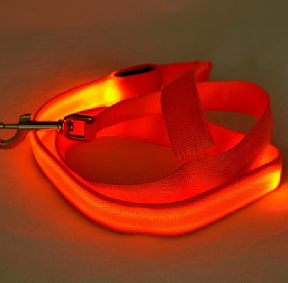 LED Luminous Dog Leash