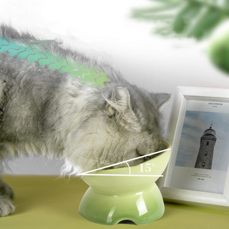 Cervical Protection Cat Bowl