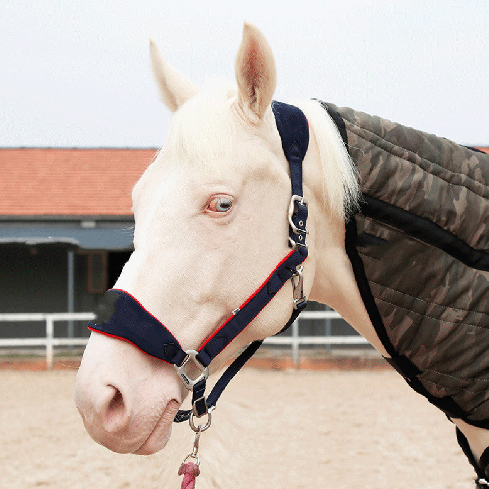 Horse Halter