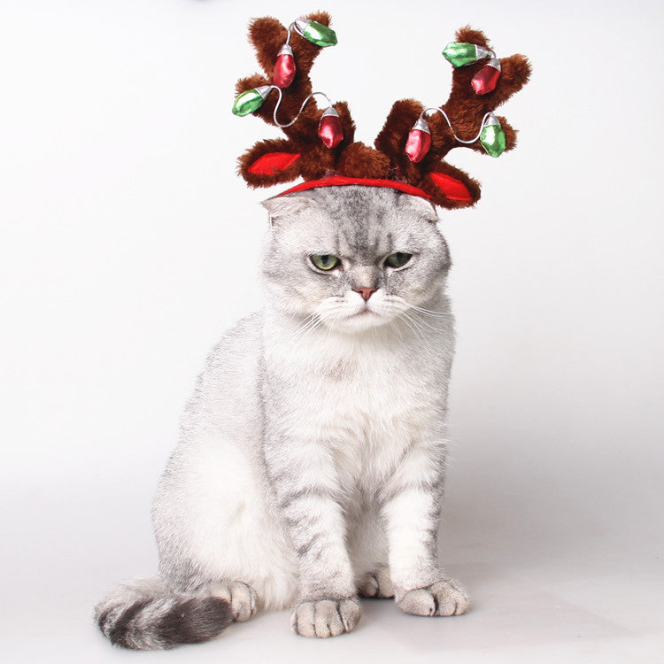 Pet Christmas Hat