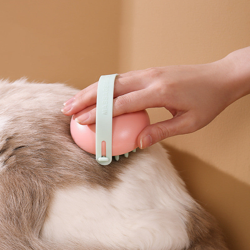 Cat And Dog Massage Comb