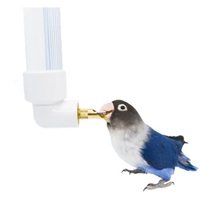 Bird Water Bottle