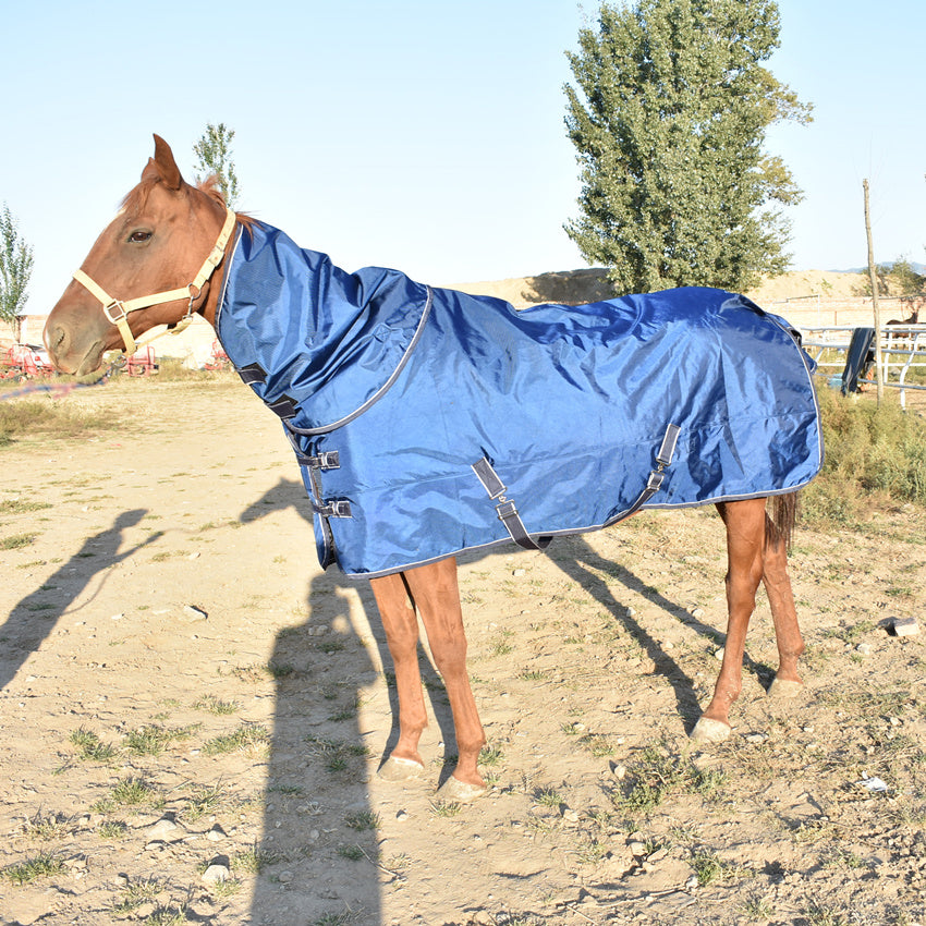 Horse Winter Jacket