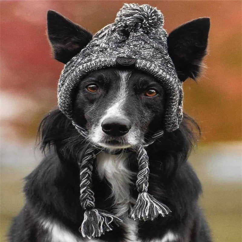 Dog Woolen Hat