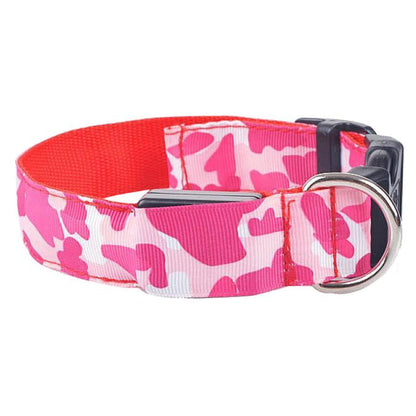 Dog Luminous Collar