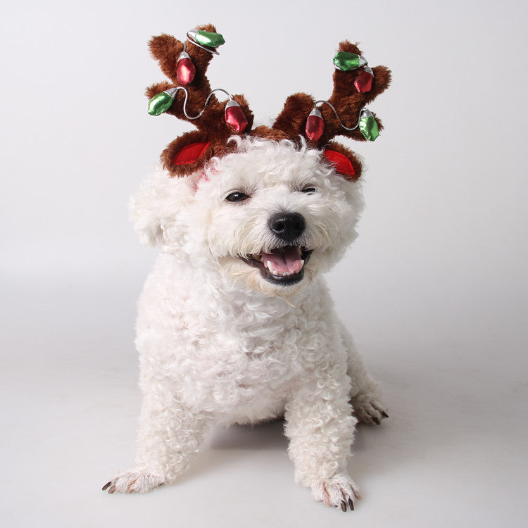 Pet Christmas Hat