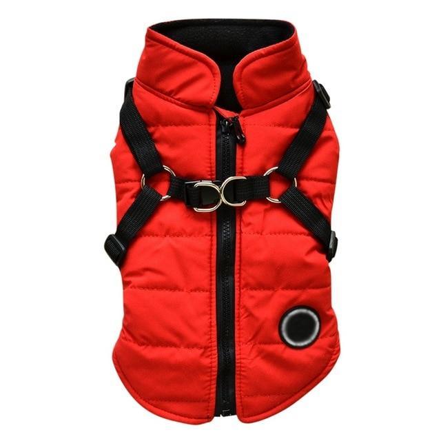 Dog zipper jacket