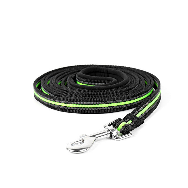 Dog Nylon Leash