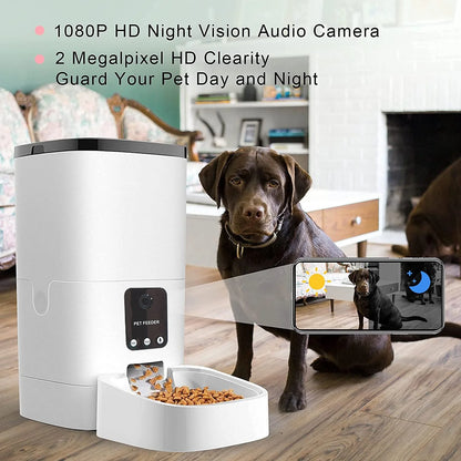 Automatic 6L Pet Feeder for Cats and Dog