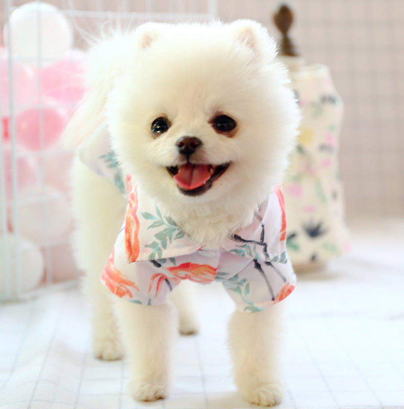 Small dog cute shirt