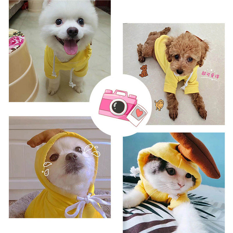 Dog Autumn And Winter Clothing