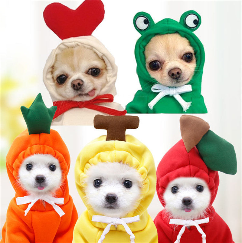 Dog Autumn And Winter Clothing