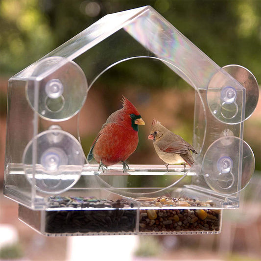 Bird Camera Feeder