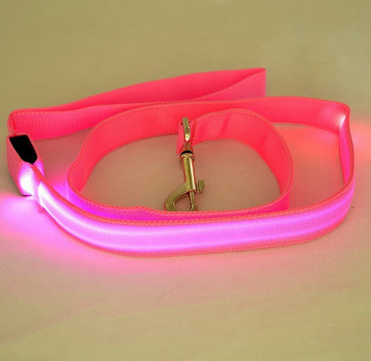 LED Luminous Dog Leash