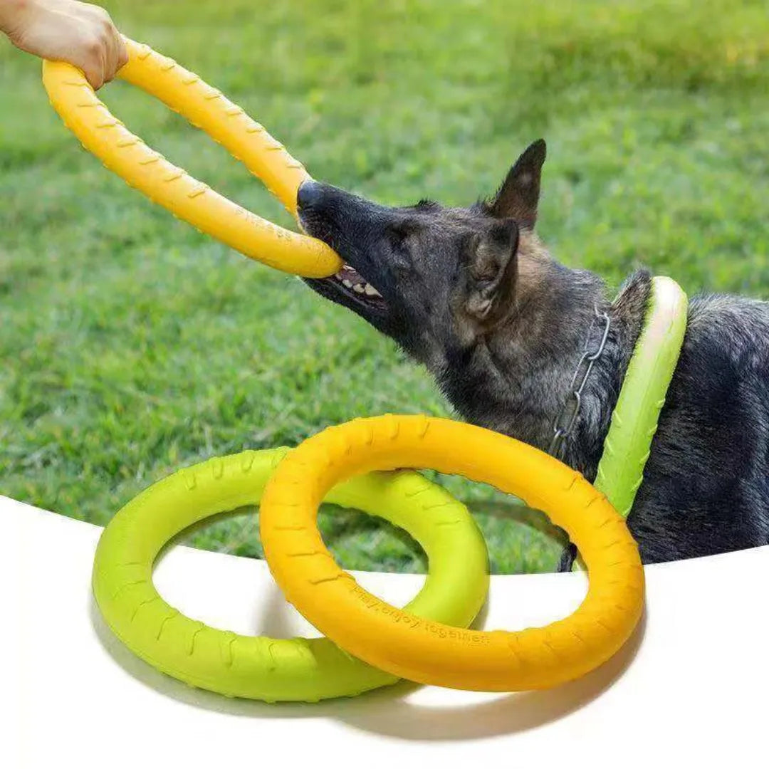 Dog Chewing Ring